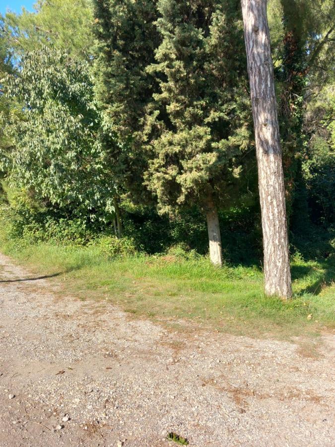 Apartmani Alma Πούλα Εξωτερικό φωτογραφία